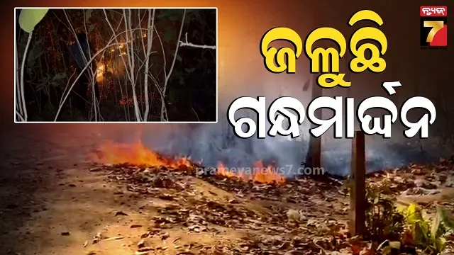 jungle-fire:-ହୁତୁ-ହୁତୁ-ହୋଇ-ଜଳୁଛି-ଗନ୍ଧମାର୍ଦ୍ଦନ-ପାହାଡ,-କଣ-କରୁଛି-ବନବିଭାଗ?