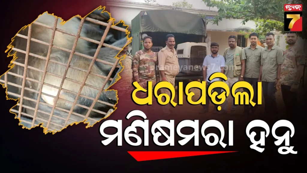 ଉତ୍ପାତ-କରୁଥିଲା,-ମଣିଷ-ବି-ମାରିଥିଲା-;-ଶେଷରେ-ବନ-ବିଭାଗ-ଯନ୍ତାରେ-ପଡ଼ିଲା