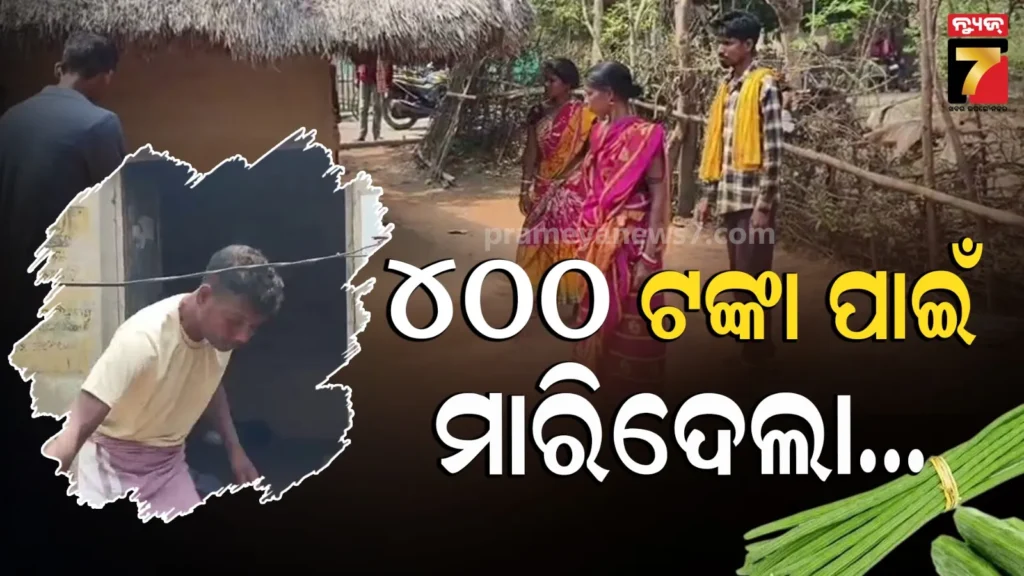 ସଜନା-ଛୁଇଁ-ବିକ୍ରି-କରି-୪୦୦-ଟଙ୍କା-ରଖିଥିଲେ,-ବାପା-ଦେଲେନି-ବୋଲି-ପୁଅ-ମାରିଦେଲା…