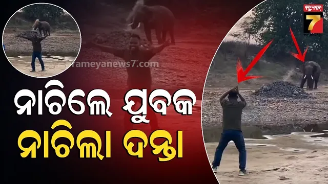 elephant-dance:-ଦନ୍ତା-ମାତିଛି-ନୁହେଁ-ଯୁବକଙ୍କ-ସହ-ତାଳ-ଦେଇ-ନାଚୁଛି…ଭିଡିଓ-ଭାଇରାଲ୍