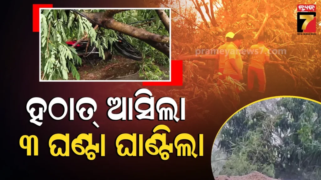 kalbaisakhi-effect:-ଚଳନ୍ତା-ବାଇକ୍-ଉପରେ-ଉପୁଡ଼ିଲା-ବିରାଟ-ଗଛ,-ଭାଙ୍ଗିଗଲା-ବାଇକ୍,-ଅଳ୍ପକେ-ବର୍ତ୍ତିଲେ-ଚାଳକ