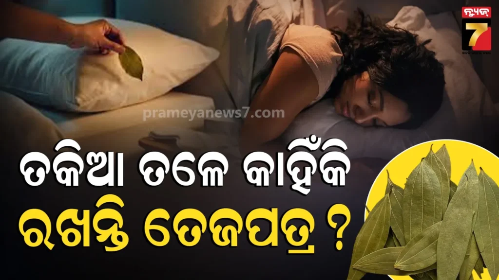 bay-leaves:-ତକିଆ-ତଳେ-ତେଜପତ୍ର-ରଖି-କାହିଁକି-ଶୋଇଥାନ୍ତି-?-ଏହାର-କାରଣ-ଜାଣିଲେ-ଆପଣ-ହୋଇଯିବେ-ଆଶ୍ଚର୍ଯ୍ୟ