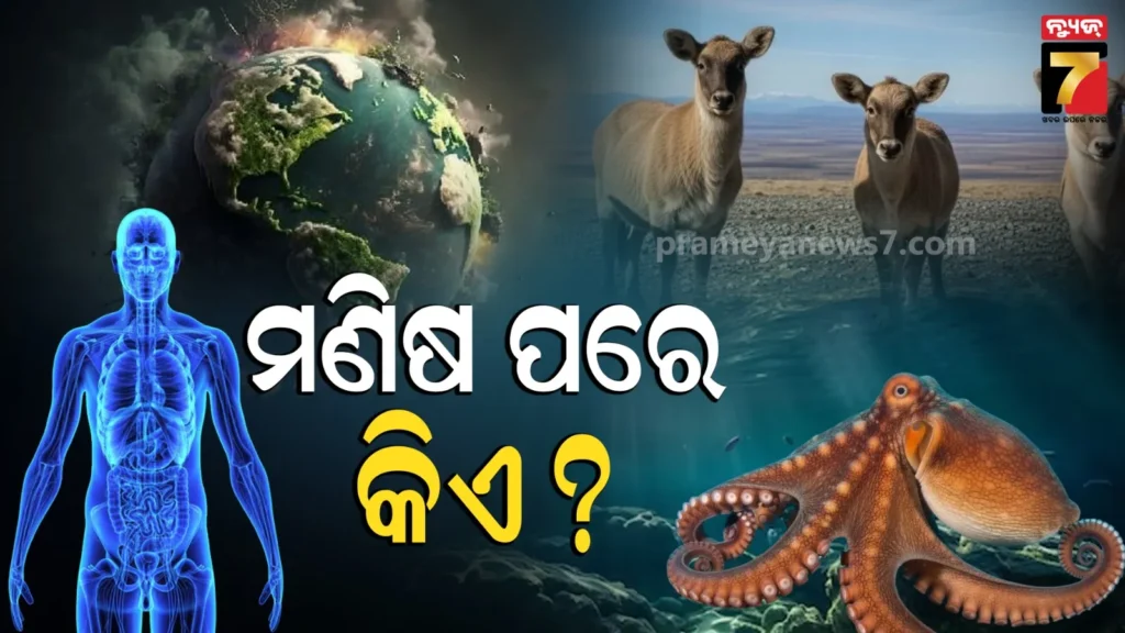 ଯଦି-ମନୁଷ୍ୟ-ଅଦୃଶ୍ୟ-ହୋଇଯାଏ,-କେଉଁ-ପ୍ରାଣୀ-ପୃଥିବୀକୁ-ଦଖଲ-କରିବ?-ବୈଜ୍ଞାନିକଙ୍କ-ଚାଞ୍ଚଲ୍ୟକର-ଖୁଲାସା