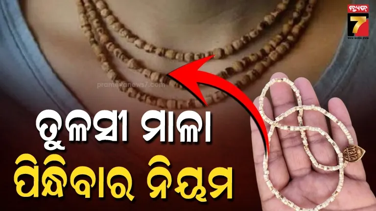 tulsi-mala:-କେଉଁ-ଲୋକମାନେ-ତୁଳସୀ-ମାଳା-ପିନ୍ଧିବା-ଉଚିତ୍-ନୁହେଁ?-ଜାଣନ୍ତୁ-ଏହା-ସହ-ଜଡିତ-ନିୟମ-ଏବଂ-ଲାଭ-ବିଷୟରେ…