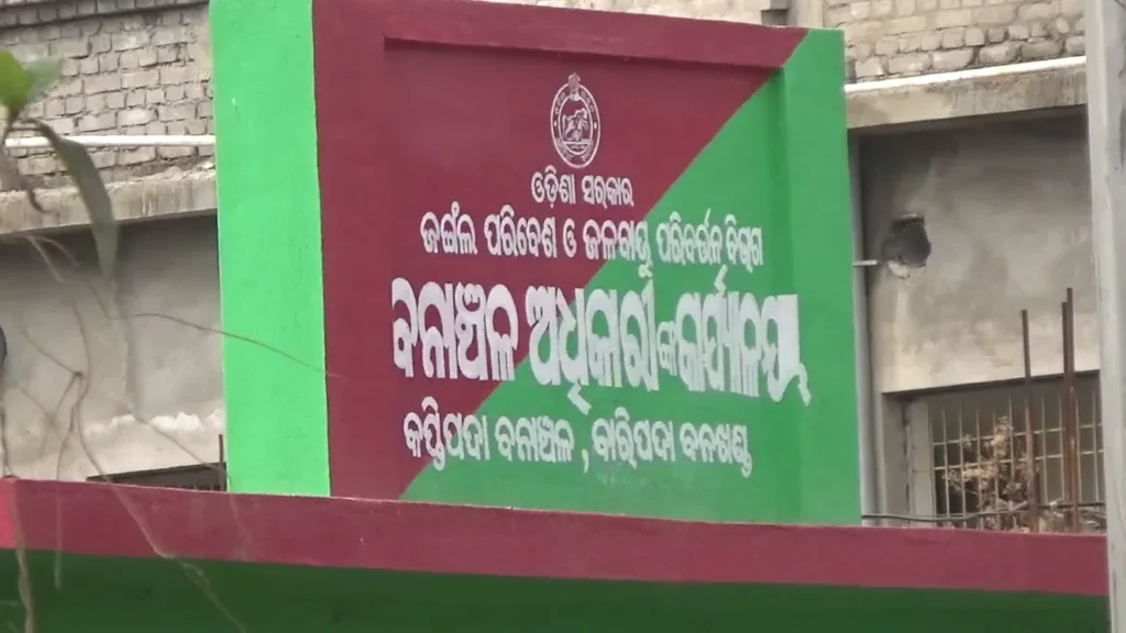 ଶୌଚ-ହେବାକୁ-ଯାଇଥିଲେ,-ଭାଲୁ-ହାବୁଡ଼ରେ-ପଡ଼ି-୩-ଗୁରୁତର
