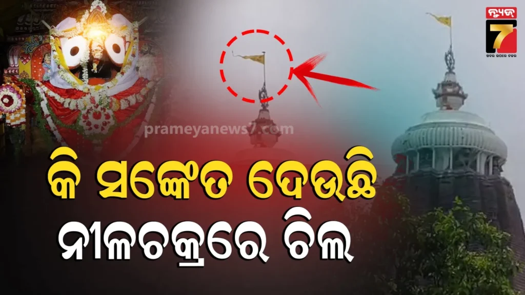 shree-mandira:-ଶ୍ରୀମନ୍ଦିର-ନୀଳଚକ୍ର-ଉପରେ-ବସିଲା-ଚିଲ,-ଅଶୁଭ-ସଙ୍କେତ-ବୋଲି-କହୁଛନ୍ତି-ସେବାୟତ