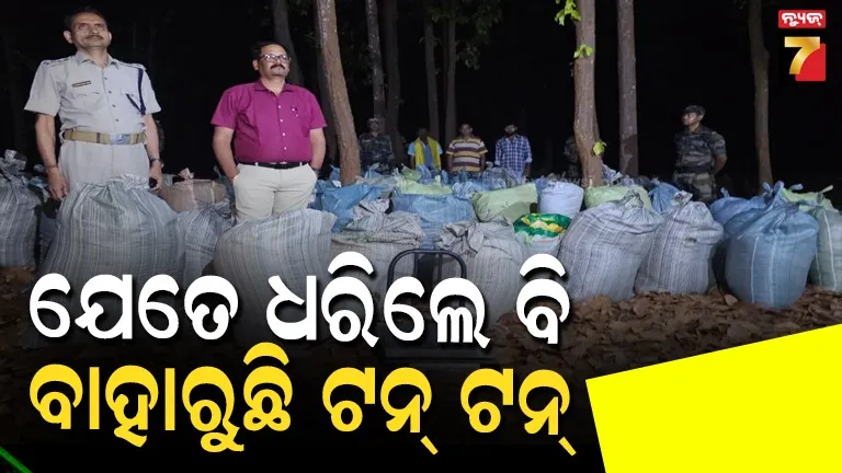ରେଡ୍-ହେଉଛି,-ଗଛ-କାଟି-ପଦା-ବି-ହେଉଛି,-ତଥାପି-ବାହାରୁଛି-ବସ୍ତା-ବସ୍ତା