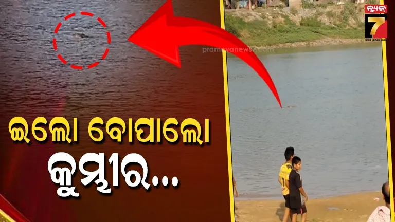 crocodile-fear:-ବାଦାମ-ଓପାଡି-ନଦୀରେ-ଗାଧୋଉଥିଲେ,-ମାଡି-ଆସିଲା-ଘଡିଆଳ