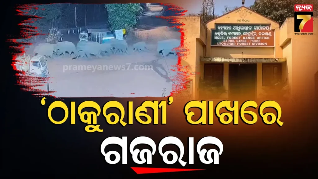 ଖଣି-ଅଞ୍ଚଳ-ମୁହାଁ-ଗଜରାଜ,-ସିସିଟିଭିରେ-ଭିଡିଓ-ରେକର୍ଡ,-ସ୍ଥାନୀୟ-ଲୋକେ-ଆତଙ୍କିତ