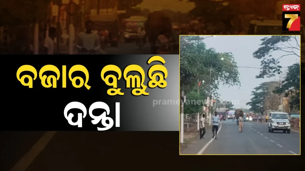elephant-on-road:-ବୀର-ଦର୍ପରେ-ରାଜରାସ୍ତାରେ-ଚାଲିଛି-ଦନ୍ତା-;-ଆଗରେ-ବନ-ବିଭାଗ,-ପଛରେ-ପଥଚାରୀ