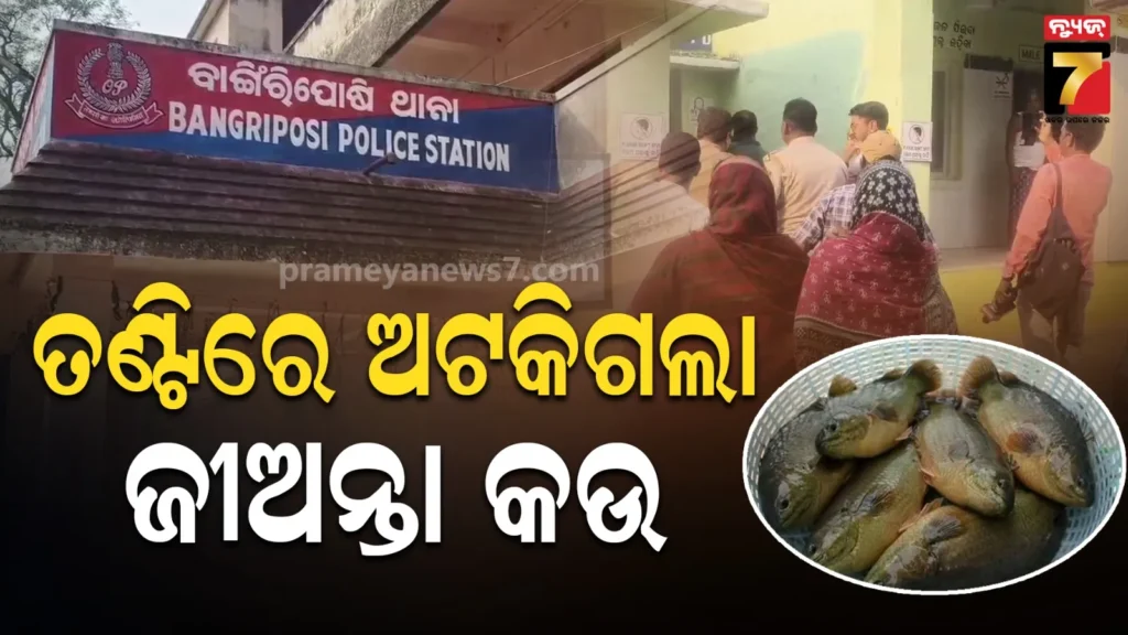 ମାଛ-ଧରିବା-ବେଳେ-ପାଟିରେ-ପଶିଗଲା-ଜୀବନ୍ତ-କଉ-ମାଛ,-ଚାଲିଗଲା-ଯୁବକଙ୍କ-ଜୀବନ