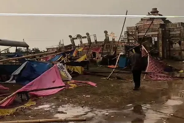 ଚାନ୍ଦବାଲିରେ-କାଳବୈଶାଖୀ-ତାଣ୍ଡବ,-ବର୍ଷା-ପବନରେ-ଉପୁଡ଼ିଲା-ଗଛ