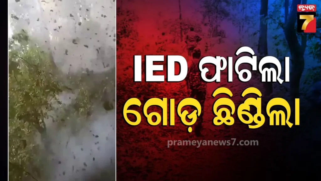 ସରଣ୍ଡାରେ-ଲୁଚିଛି-ମିସିର-ବେସରା,-ତାକୁ-ଧରିବାକୁ-ଅପରେସନ-ବେଳେ-ଆଇଇଡି-ବିସ୍ଫୋରଣ