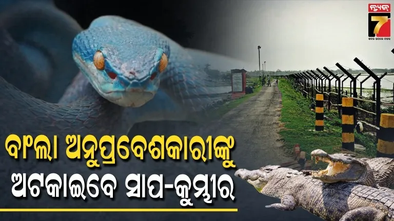 ସୀମା-ଜଗିବେ-ସାପ-କୁମ୍ଭୀର-:-ସରକାର-କରୁଛନ୍ତି-ଯୋଜନା,-ବାଂଲାଦେଶ-ସୀମା-ନିକଟରେ-ଛାଡିବେ-ବିଷାକ୍ତ-ସରୀସୃପ