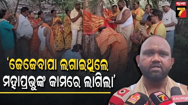 ମହାପ୍ରଭୁଙ୍କ-ରଥ-ନିର୍ମାଣରେ-ଲାଗିବ-ଅନୁଗୋଳର-ଫାଶି,-ଭକ୍ତିମୟ-ପରିବେଶରେ-ଗଛ-ଛେଦନ