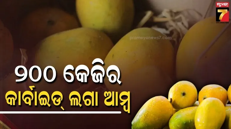 କୃତ୍ରିମ-ଉପାୟରେ-ପାଚୁଛି-ଆମ୍ବ-:-ବିକ୍ରି-ହେବା-ପୂର୍ବରୁ-୨୦୦-କେଜି-ଆମ୍ବ-ଜବତ-କଲା-ପୋଲିସ