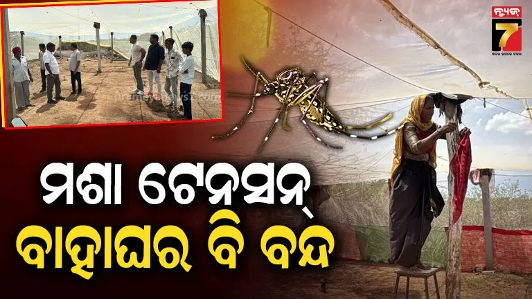 ମଣିଷଙ୍କୁ-ନାକେଦମ୍-କଲାଣି-ମଶା;-ଘରକୁ-ଆସୁନାହାନ୍ତି-କୁଣିଆ,-ଗୁହାଳରେ-ବି-ଟଣା-ହେଉଛି-ମଶାରି