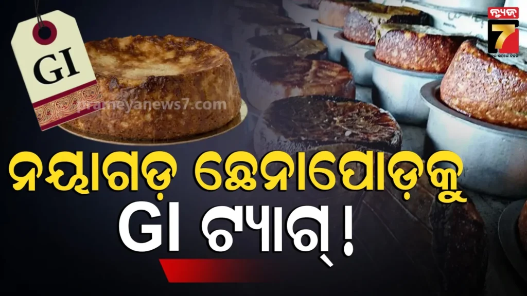 nayagarh-chhena-poda-:-ନୟାଗଡ଼-ଛେନାପୋଡ଼କୁ-ମିଳିବ-gi-ଟ୍ୟାଗ୍,-ମେ-ଶେଷ-ସପ୍ତାହରେ-ଘୋଷଣା-!