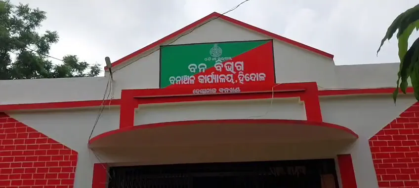 woman-dies-in-elephant-attack:-କାଜୁ-ବଗିଚାକୁ-ଯାଇଥିଲେ-ମହିଳା,-ସାମ୍ନାକୁ-ପଳାଇ-ଆସିଲା-ଦନ୍ତା,-ଆଉ-ତାପରେ…