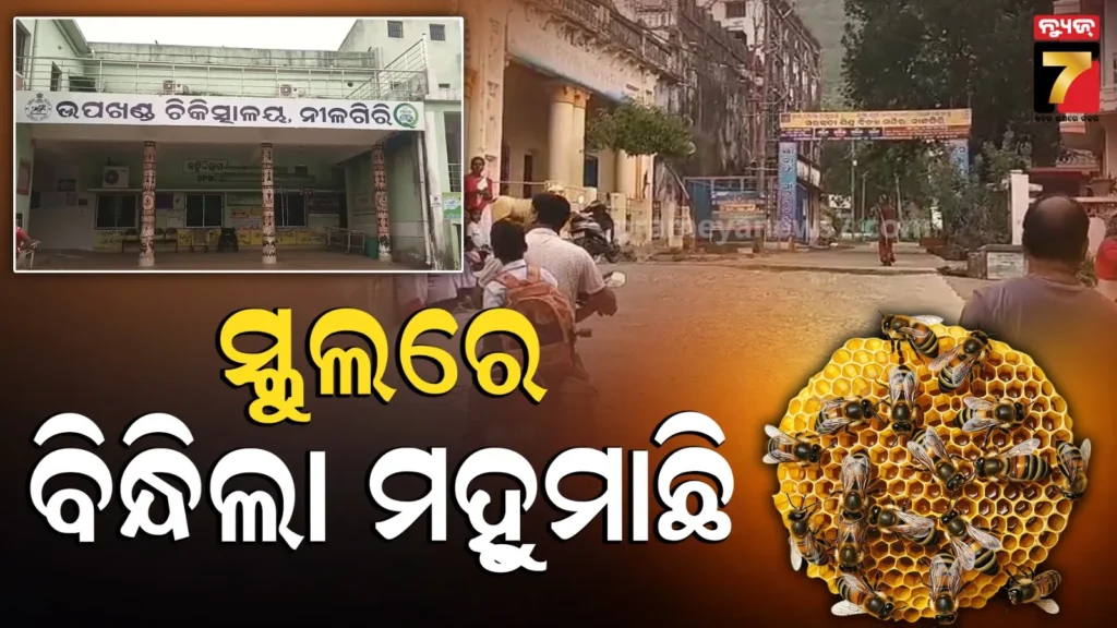 honey-bee-attacks:-ଝିଅକୁ-ବଞ୍ଚାଇବାକୁ-ଯାଇ-ମହୁମାଛି-କବଳରେ-ପଡ଼ିଗଲେ-ଶିକ୍ଷକ,-ଛୁଟି-ହୋଇଗଲା-ସ୍କୁଲ