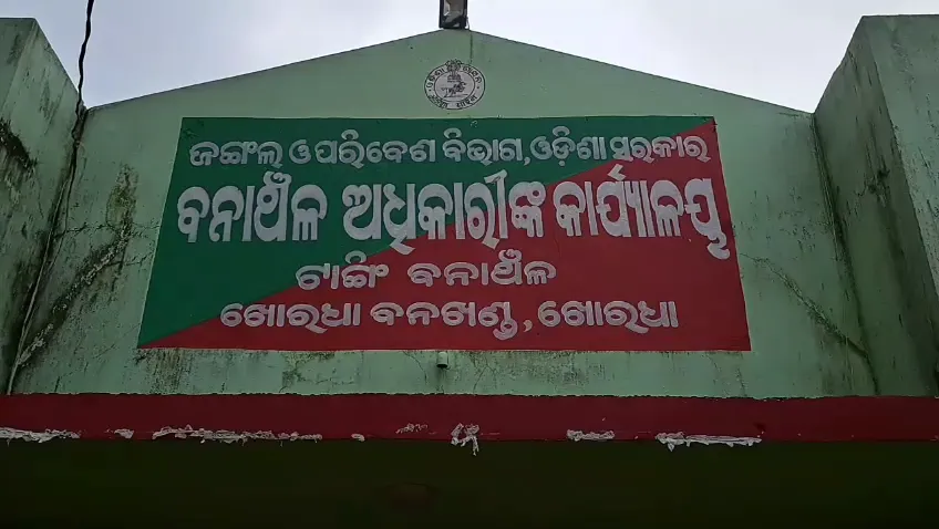 man-killed-in-elephant-attack:-ହାତୀ-ଆକ୍ରମଣରେ-ଯୁବକଙ୍କ-ମୃତ୍ୟୁ,-ବନ-ବିଭାଗ-କହିଲା-ଜଙ୍ଗଲରେ-ବୁଲୁଛି-ଗୋଠଛଡ଼ା-ଦନ୍ତା