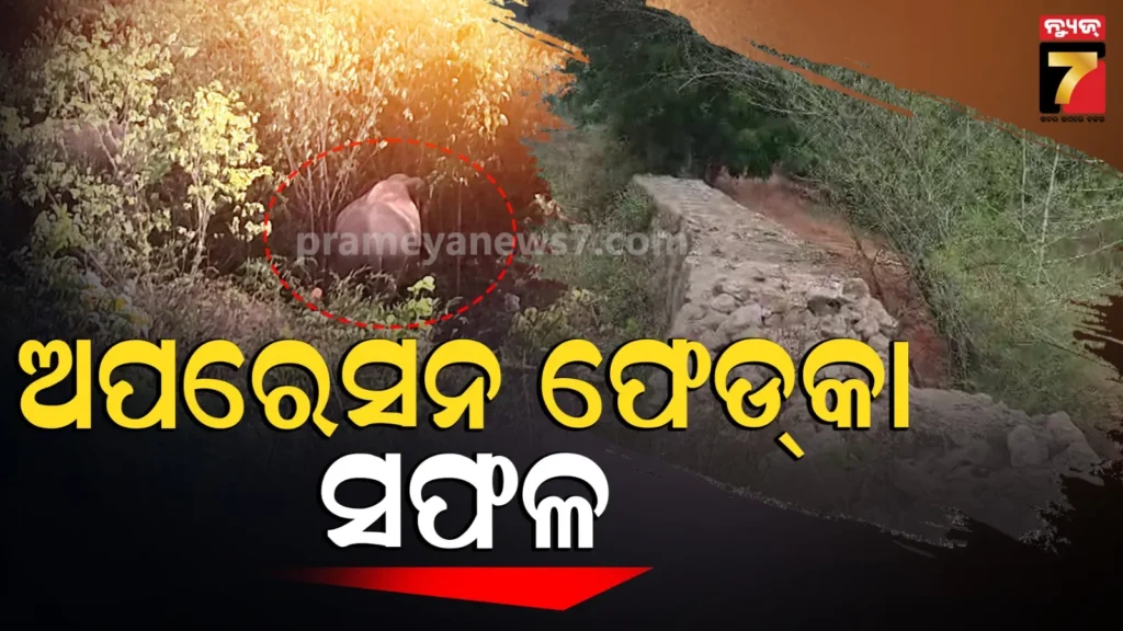 ଶିଖରଚଣ୍ଡୀରୁ-ଭରତପୁର-ଫେରିଲେ-ଦୁଇ-ଦନ୍ତା,-ସାରା-ରାତି-ଚାଲିଥିଲା-ଅପରେସନ