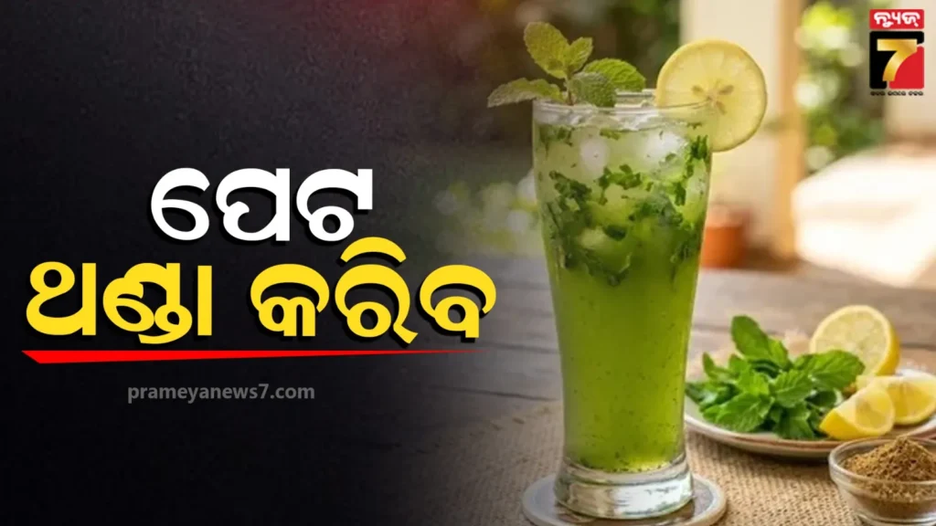 pudina-sharbat-:-ପ୍ରବଳ-ଗରମରେ-ପେଟକୁ-କରନ୍ତୁ-ଥଣ୍ଡା,-ଘରେ-କେମିତି-ପ୍ରସ୍ତୁତ-କରିବେ-ପୁଦିନା-ଶରବତ-?