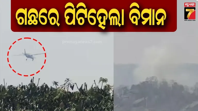 aircraft-crash:-ଜଙ୍ଗଲ-ଉପରେ-ଉଡ଼ୁଥିଲା-ବିମାନ,-ହଠାତ୍-ଗଛରେ-ପିଟି-ହୋଇ-ଜଳିଗଲା