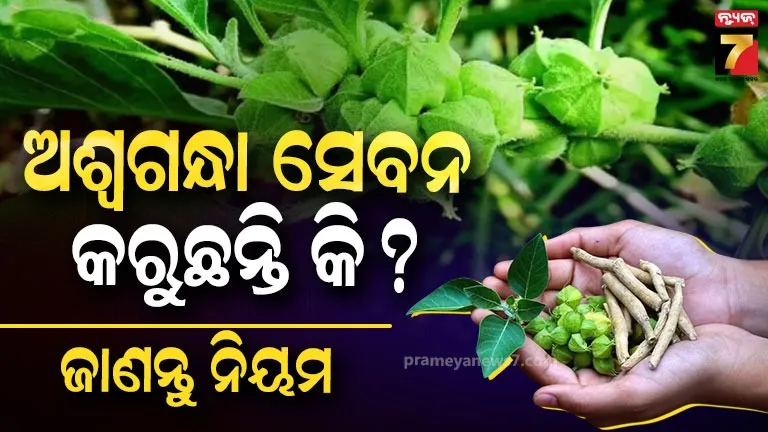 fssai-ashwagandha-advisory:-ଶରୀରର-ଶକ୍ତି-ବଢ଼ାଇବାକୁ-ଅଶ୍ବଗନ୍ଧା-ଖାଉଛନ୍ତି-କି-?