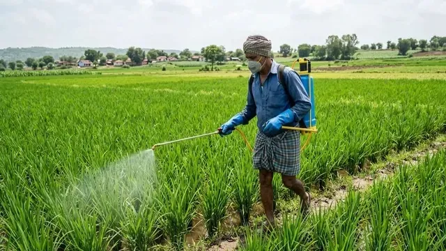 କୀଟନାଶକ-ନେଇଛି-୫୦୦ରୁ-ଅଧିକ-ଜୀବନ,-ରାଜସ୍ଥାନରେ-୨-ବର୍ଷରେ-ପ୍ରାଣ-ହରାଇଛନ୍ତି-ଶହଶହ-କୃଷକ